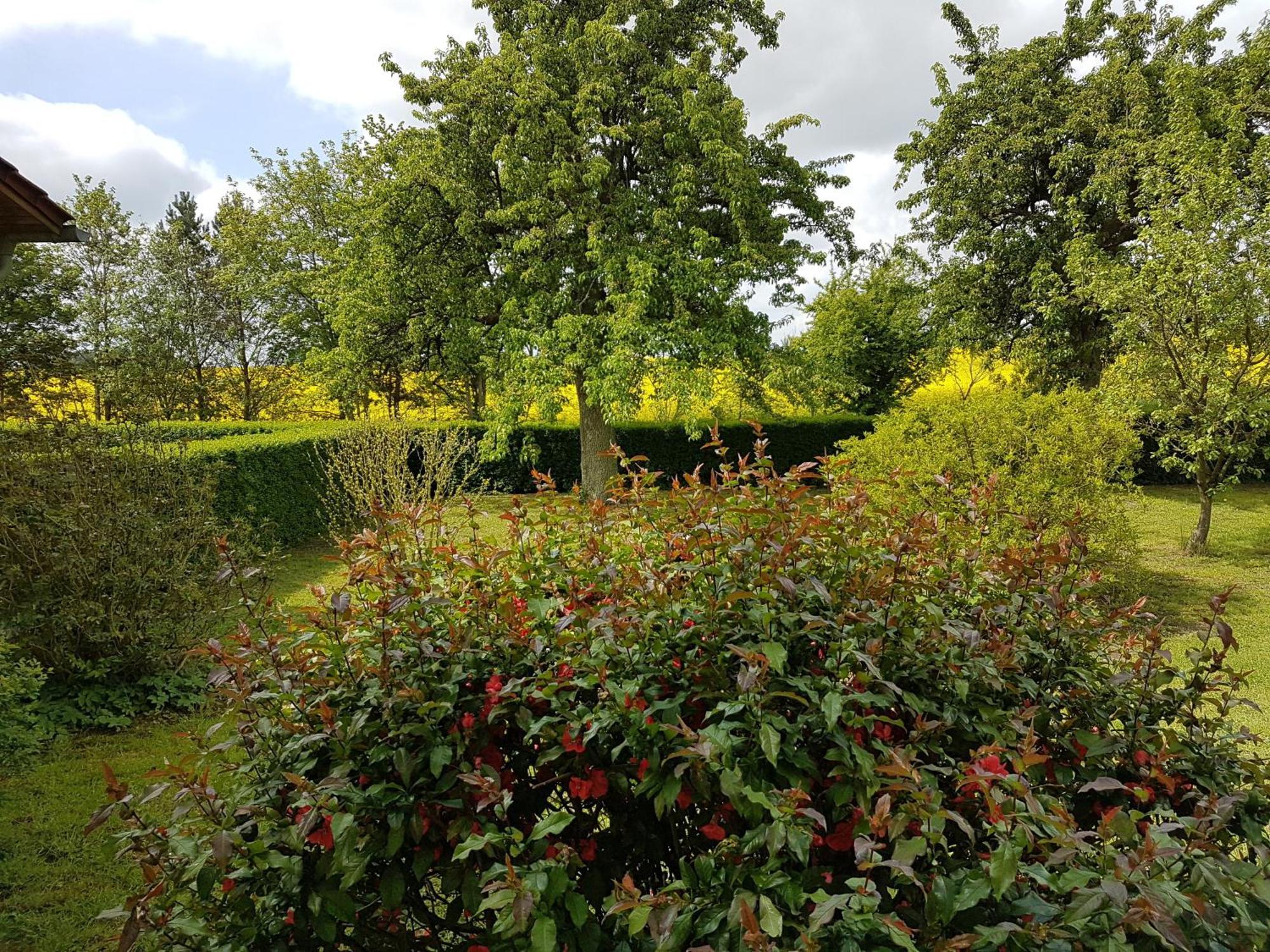 Ferienhaus Uckermark Casekow Екстер'єр фото