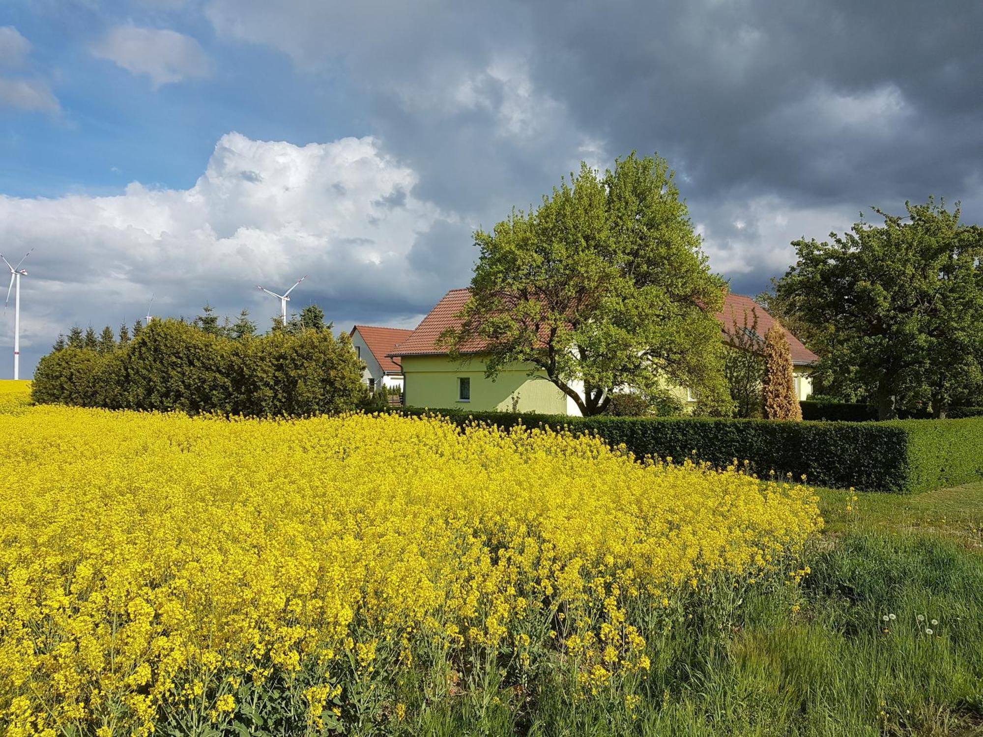 Ferienhaus Uckermark Casekow Екстер'єр фото